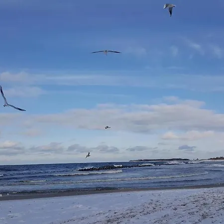 Domek letniskowy Baltic - Domek Nr 4 Darłówko