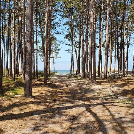 Baltic - Domek Nr 4 Domek letniskowy *